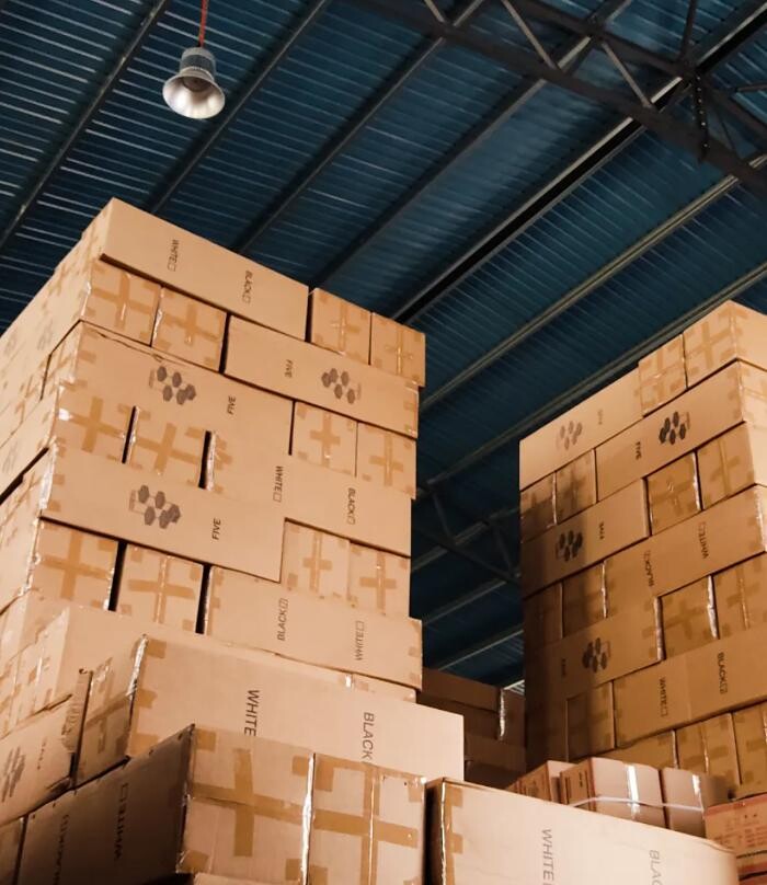 Bilder Schneider Stockbox