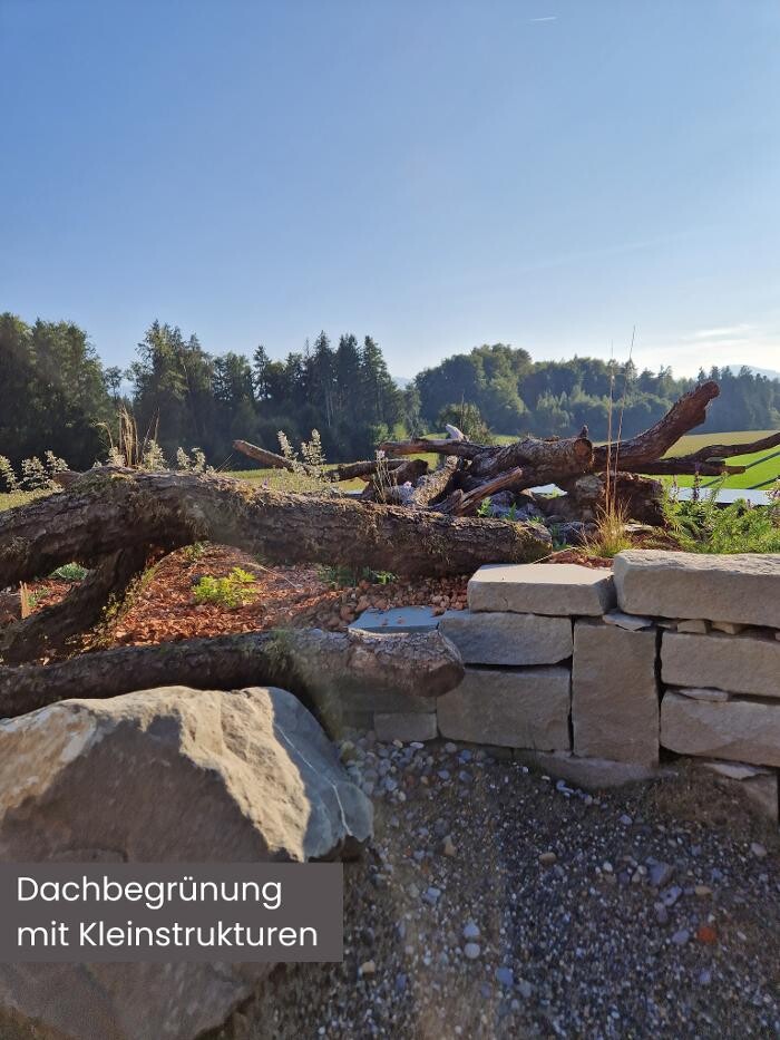 Bilder Züst Grüngestaltung GmbH