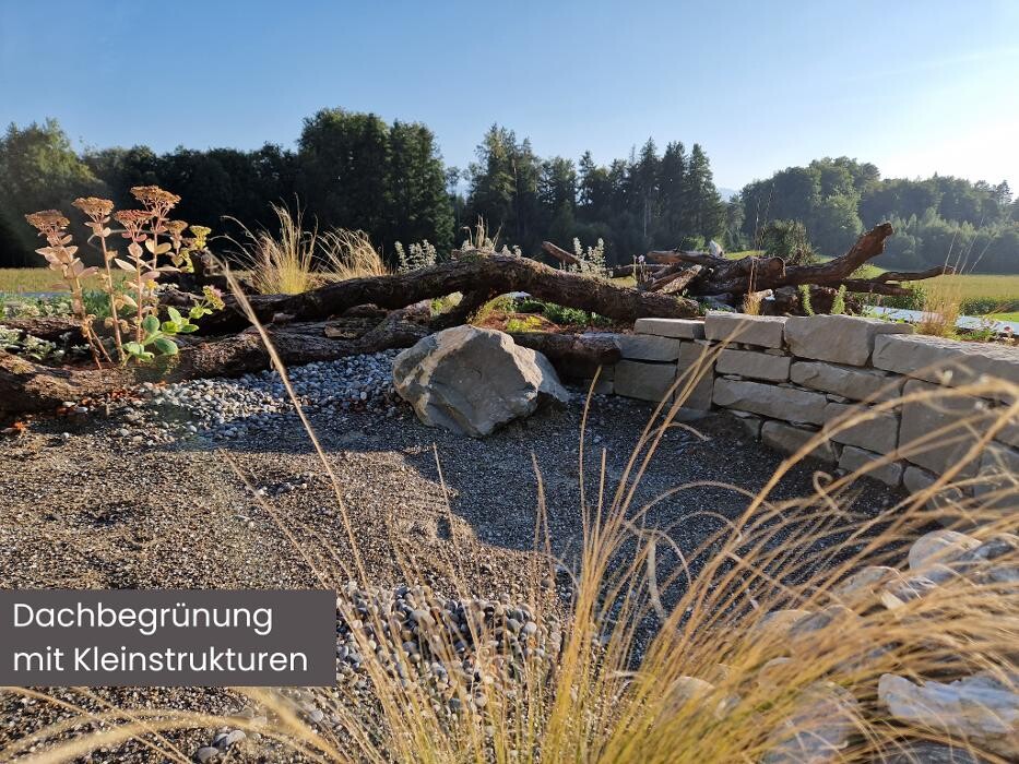 Bilder Züst Grüngestaltung GmbH