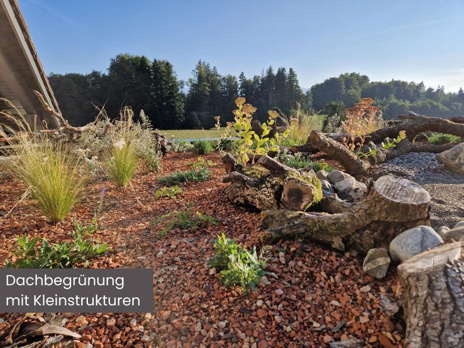 Bilder Züst Grüngestaltung GmbH