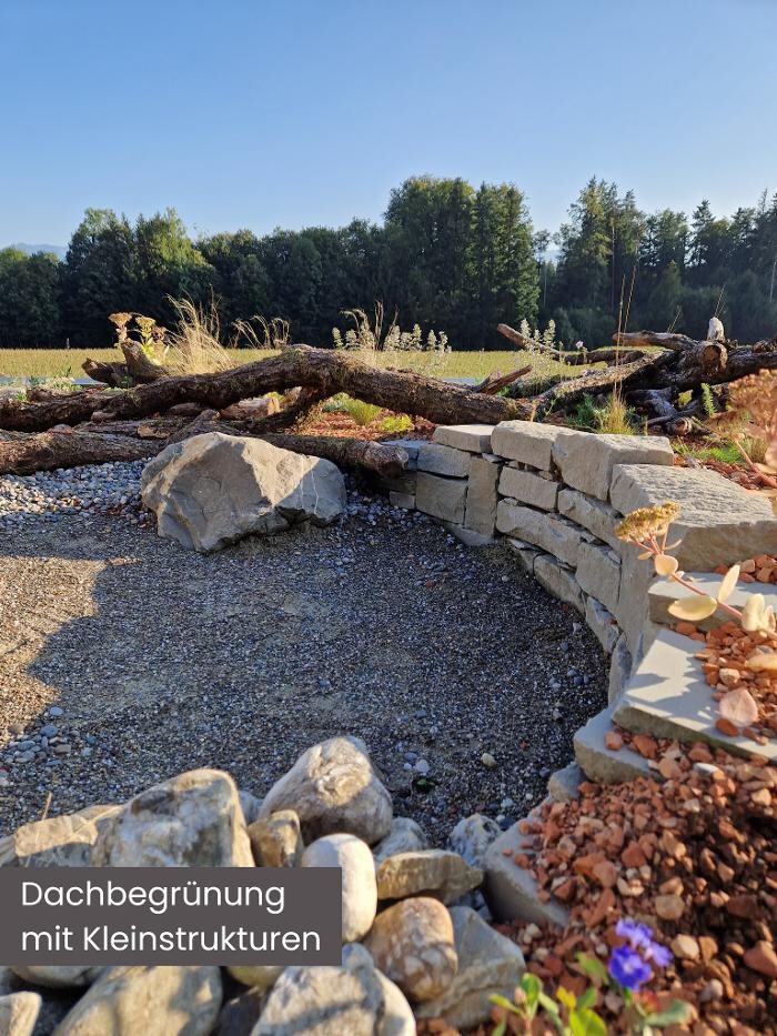 Bilder Züst Grüngestaltung GmbH