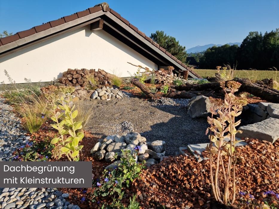 Bilder Züst Grüngestaltung GmbH