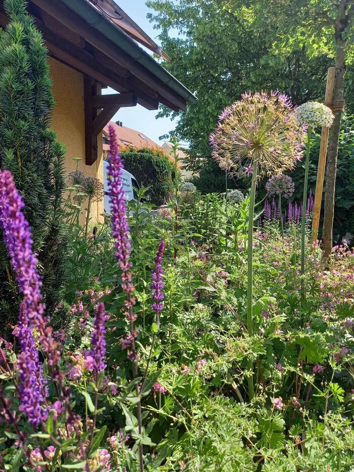 Bilder Stooss Gartenbau-Unterhalt