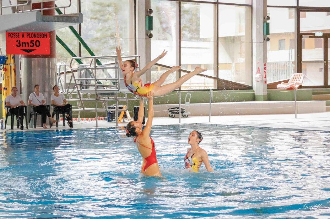 Bilder Dauphins Synchro Vernier