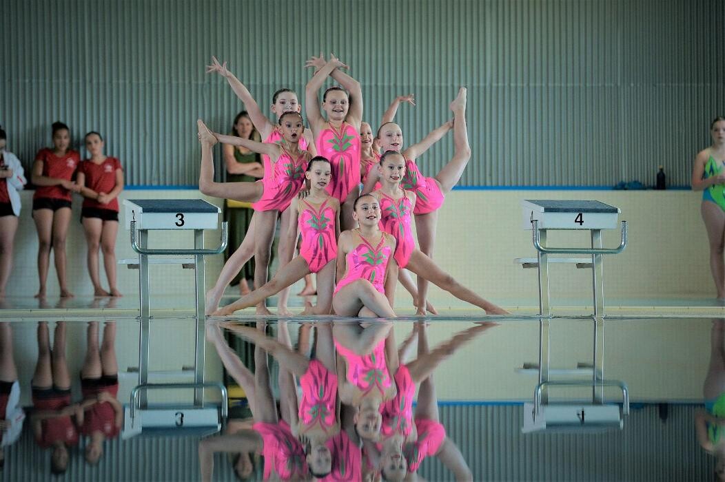 Bilder Dauphins Synchro Vernier