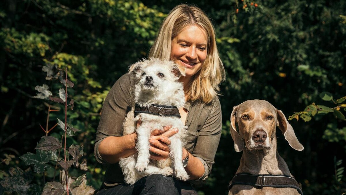 Bilder Hundeschule animalcoach.ch Zürich