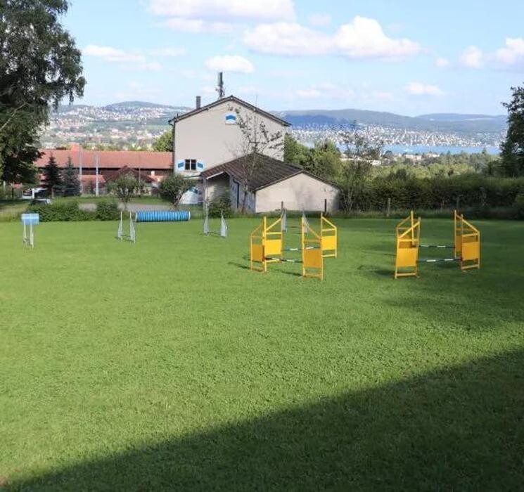 Bilder Hundeschule animalcoach.ch Zürich