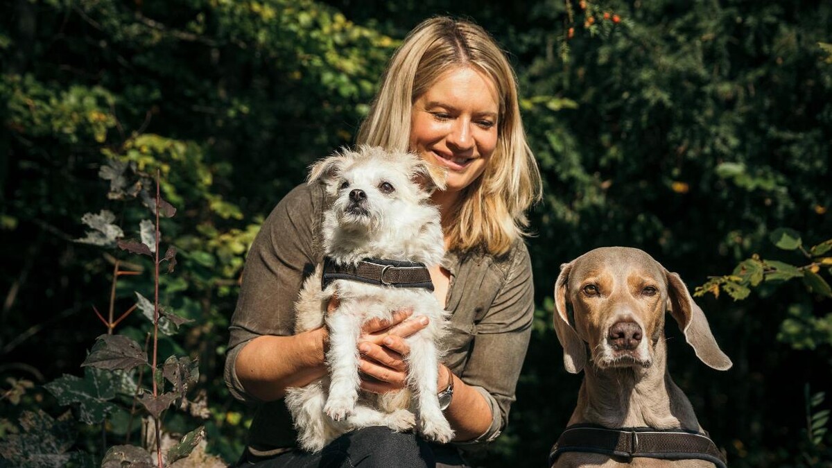 Bilder Hundeschule animalcoach.ch Zürich