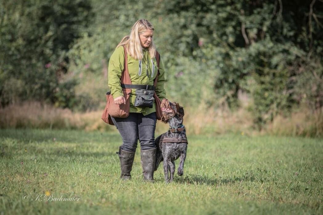 Bilder Hundeschule animalcoach.ch Zürich