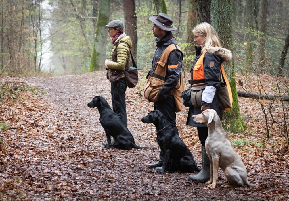 Bilder Hundeschule animalcoach.ch Zürich