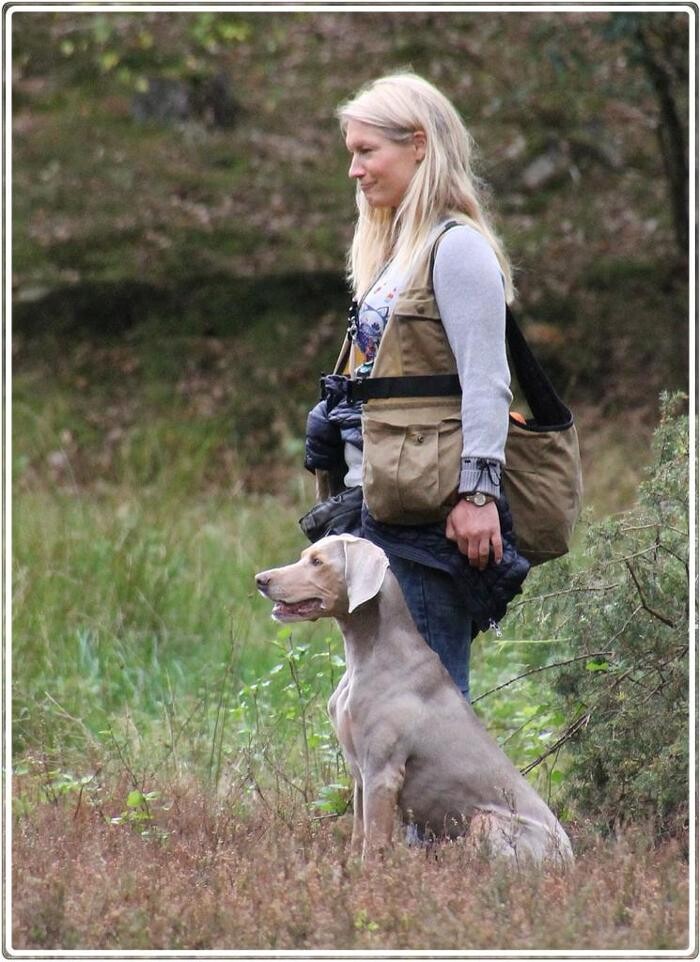 Bilder Hundeschule animalcoach.ch Zürich