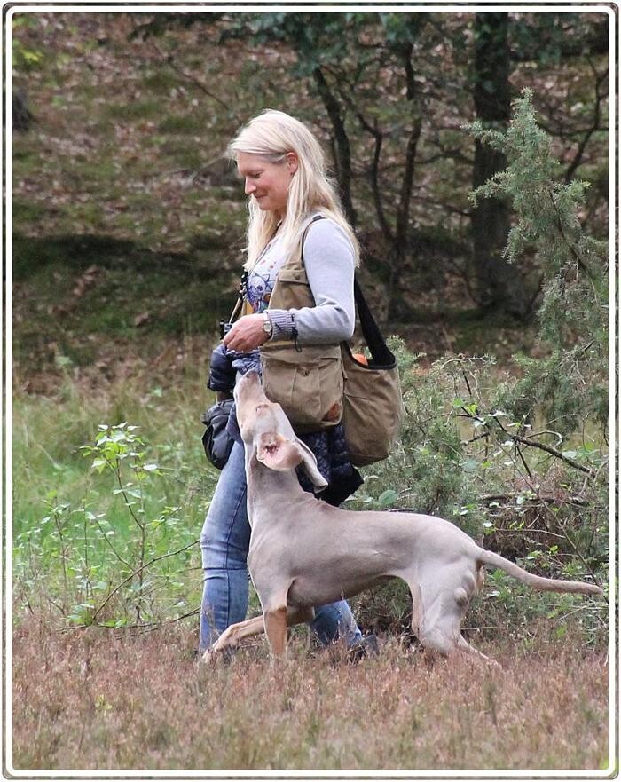 Bilder Hundeschule animalcoach.ch Zürich