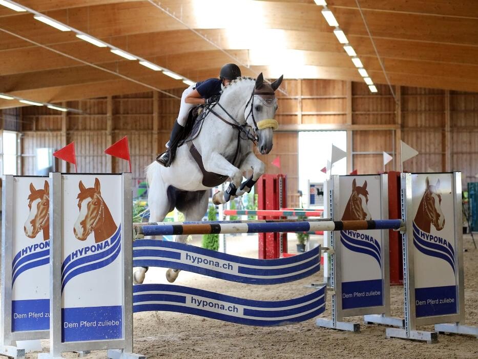 Bilder Claudia Gerber - Pferdesport