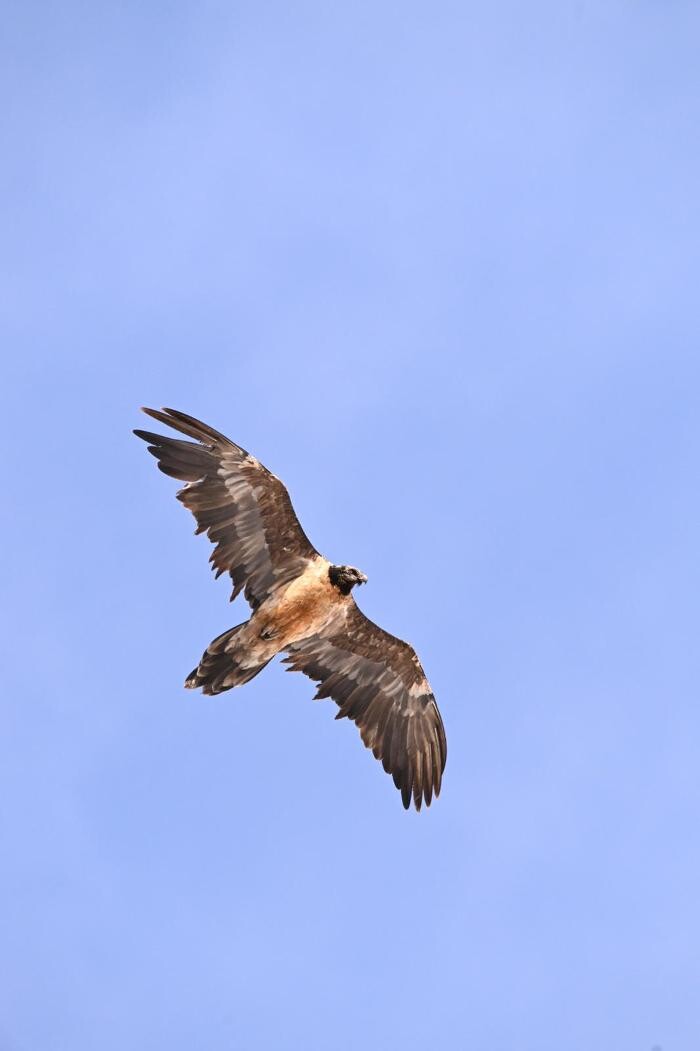 Bilder WaldWild GmbH