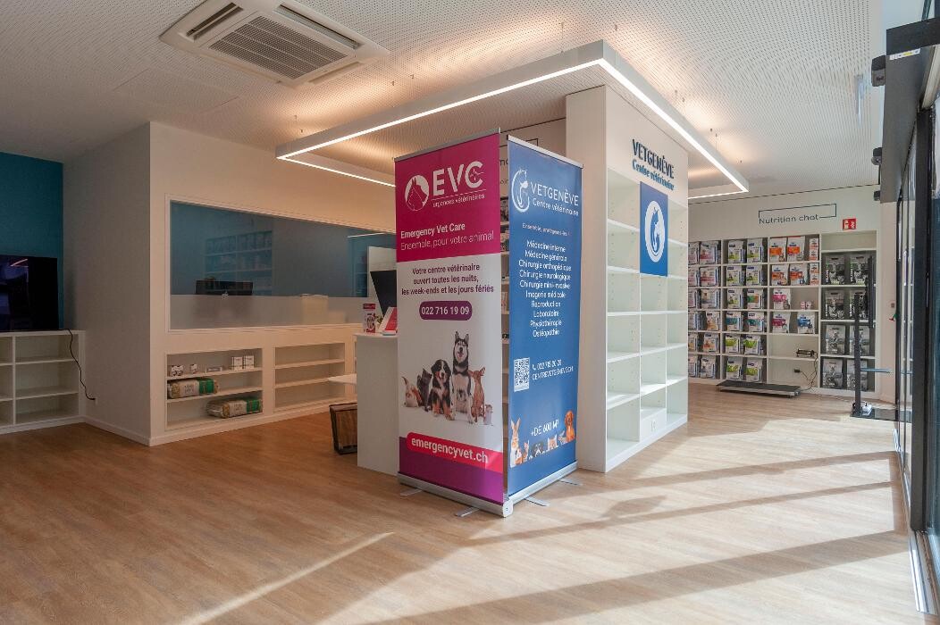 Bilder VetGenève - Clinique vétérinaire