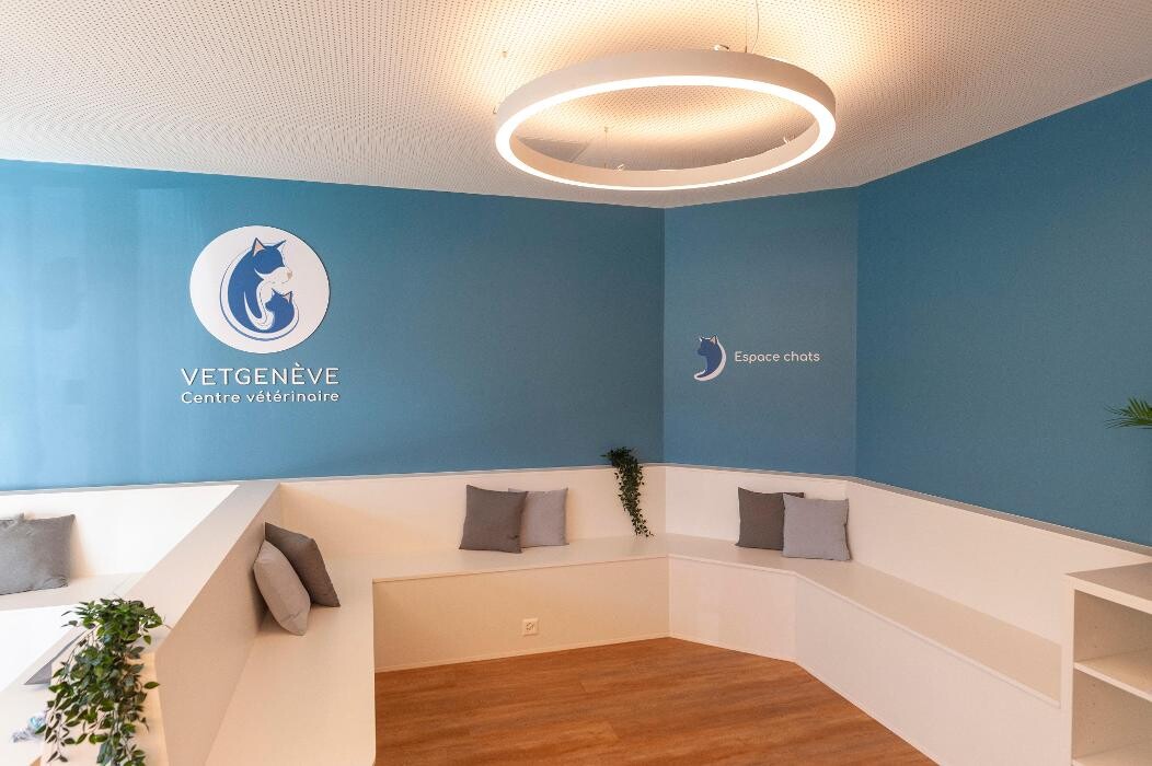 Bilder VetGenève - Clinique vétérinaire