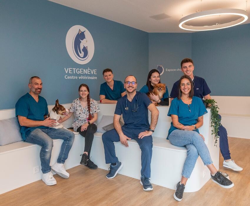 Bilder VetGenève - Clinique vétérinaire