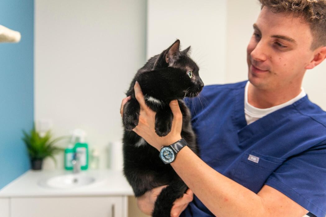 Bilder VetGenève - Clinique vétérinaire
