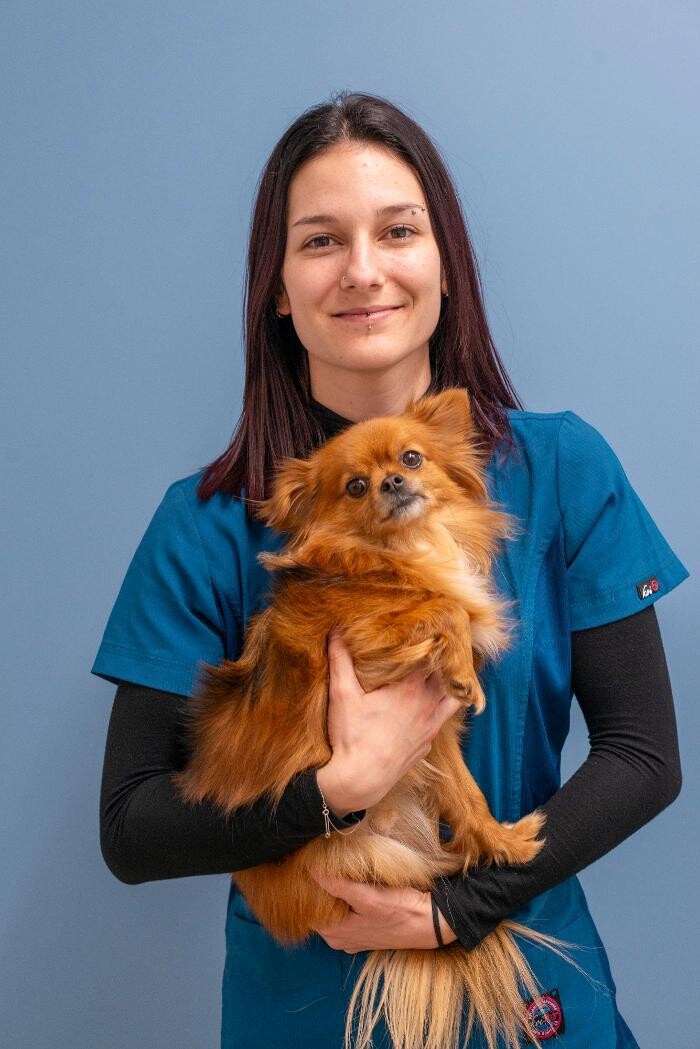 Bilder VetGenève - Clinique vétérinaire