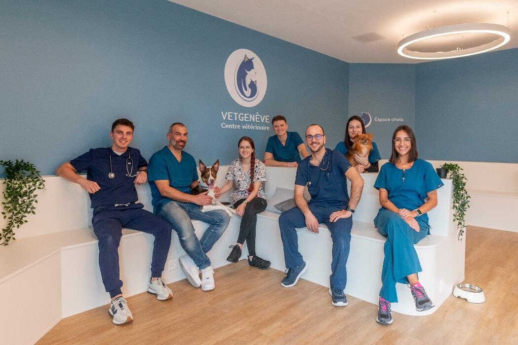 Bilder VetGenève - Clinique vétérinaire