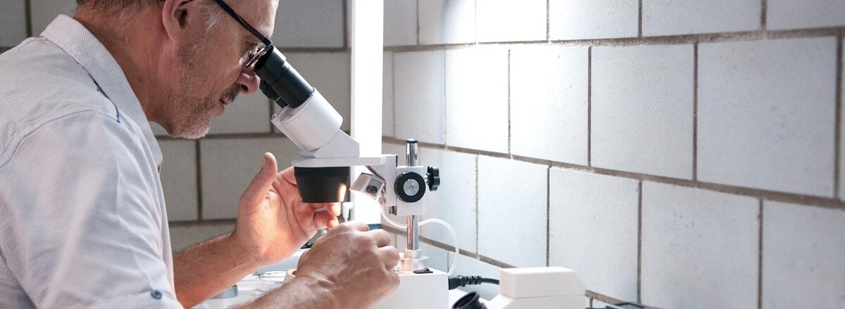 Bilder BISE Expertise Bijoux