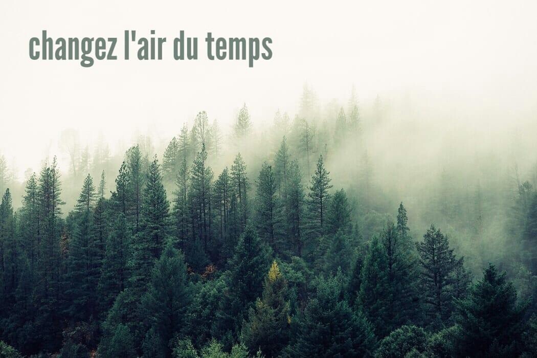 Bilder Treebreathe Sàrl