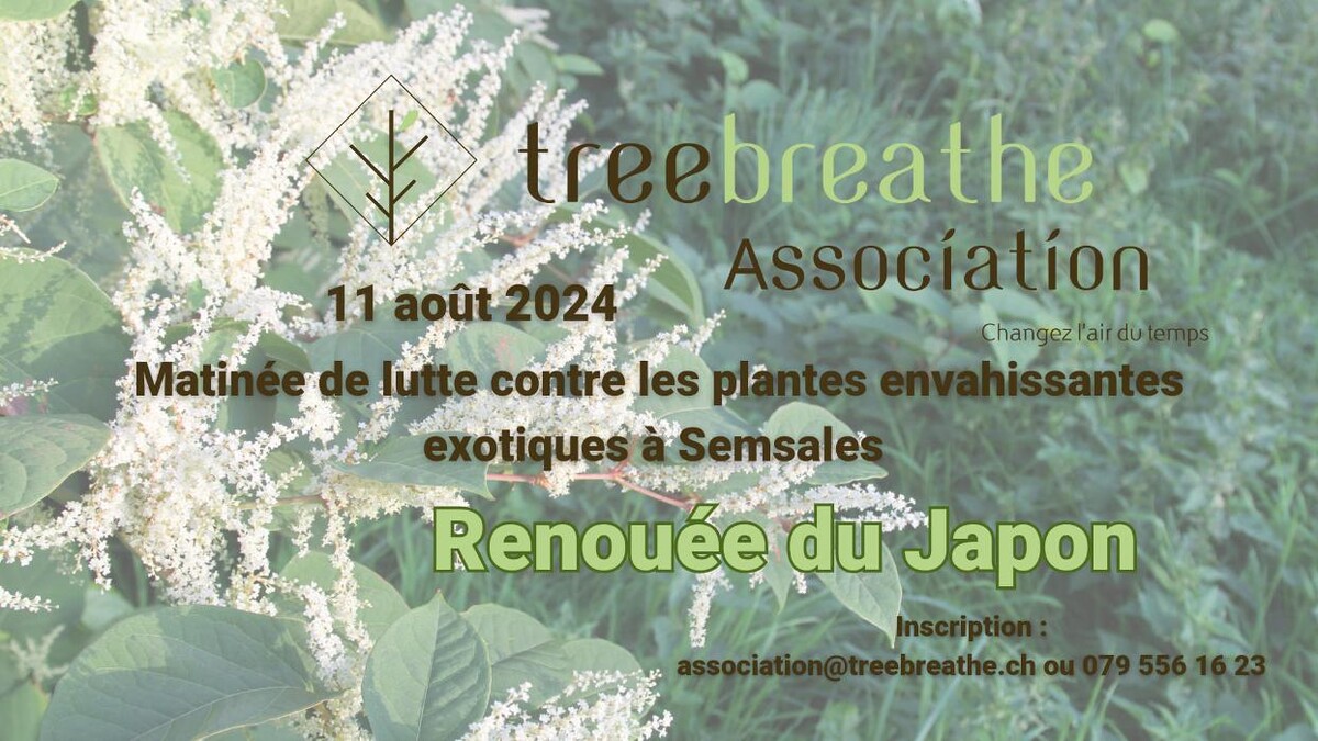 Bilder Treebreathe Sàrl