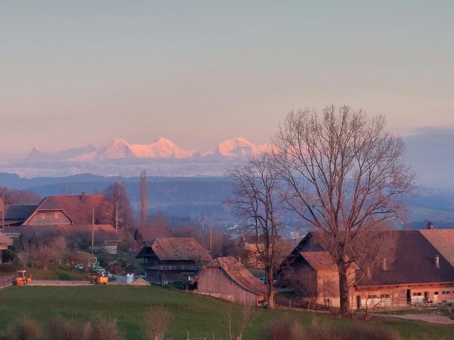 Bilder Gasthof Alpenblick Ferenberg