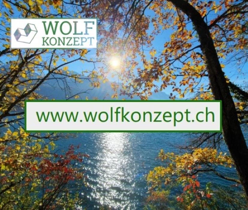 Bilder Wolf Konzept