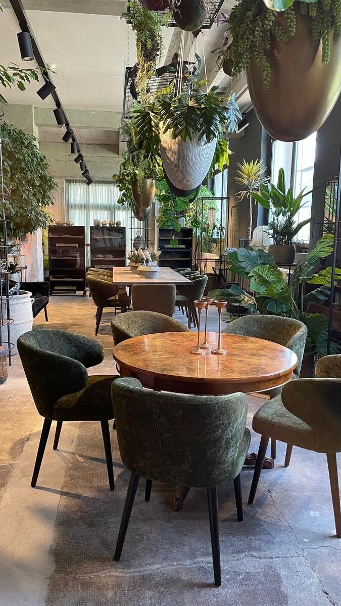 Bilder Orangerie Bernapark