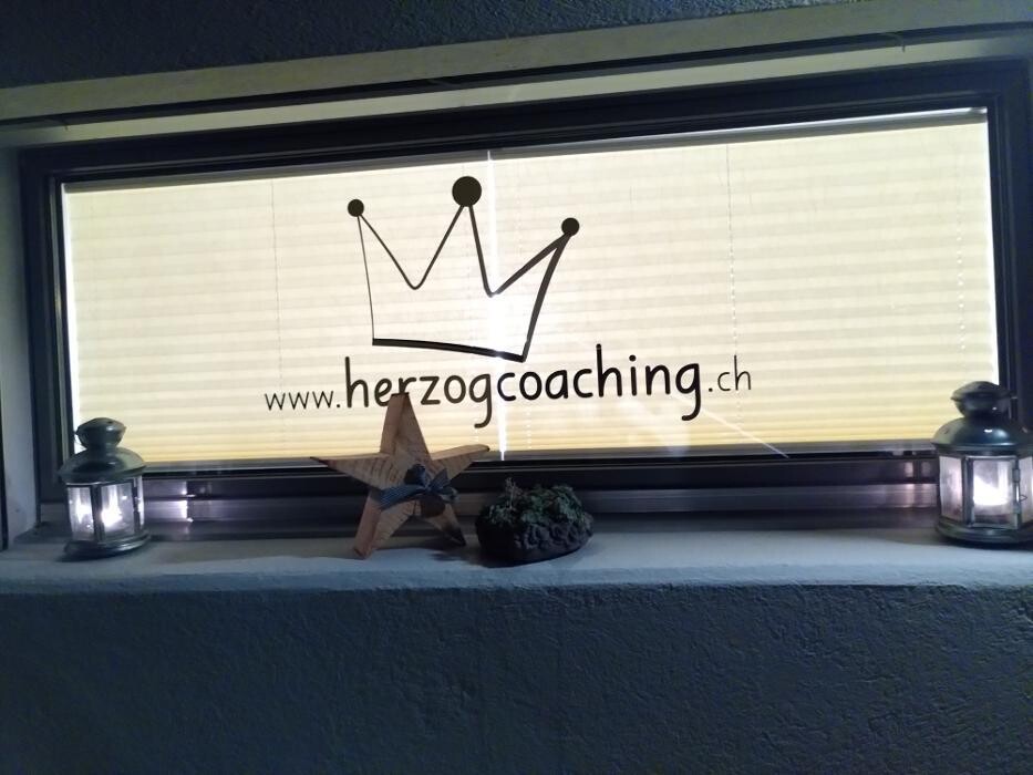 Bilder herzogcoaching