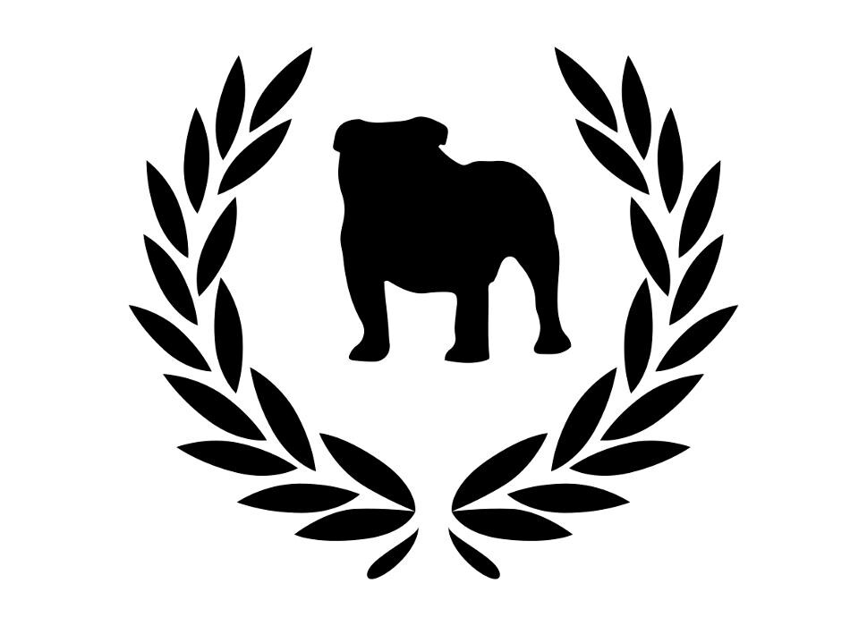 Bilder DOGtrainer Fellino