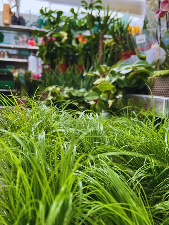 Bilder Centre Agro Satigny