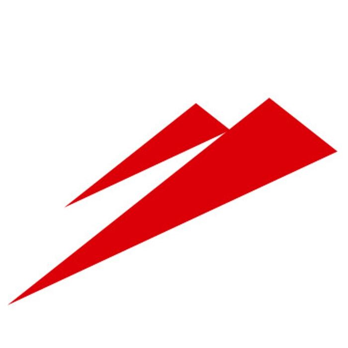 peaknetworks Schweiz GmbH Logo