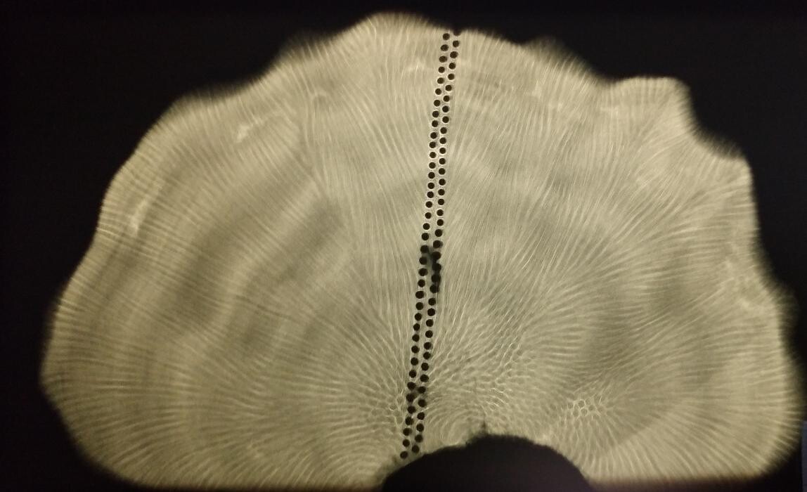 Bilder Quality Control NDT S.A.