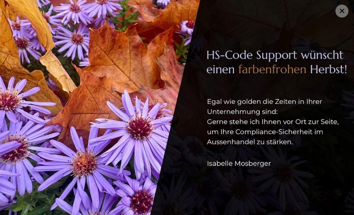 Bilder HS-Code Consulting Mosberger (HS-Code Support)