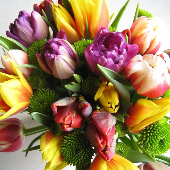 Bilder Bouquets-Fleurs.ch
