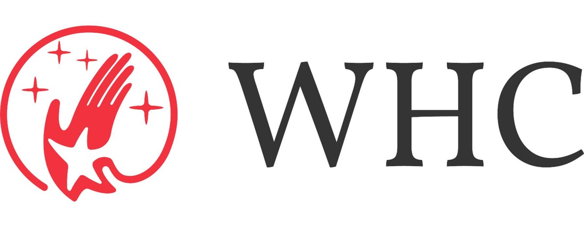 Bilder Wolfgang Hochstrasser Consulting