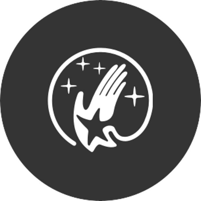 Wolfgang Hochstrasser Consulting Logo