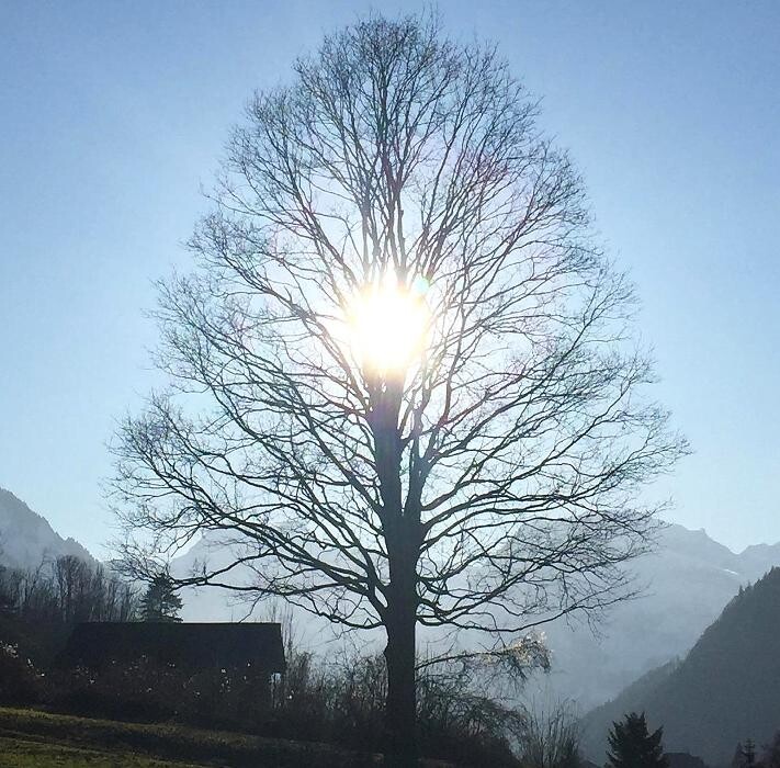 Bilder Hypnosetherapie Gerda Hauser