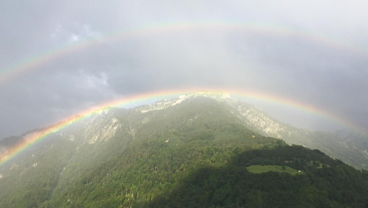 Bilder Hypnosetherapie Gerda Hauser