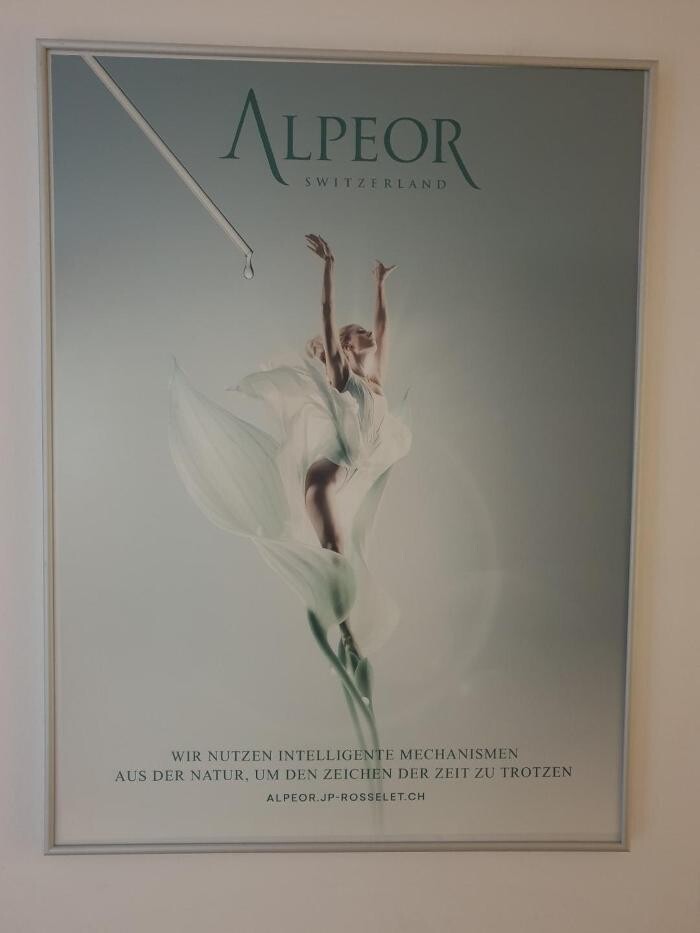 Bilder Gesundheitspraxis Li, TCM