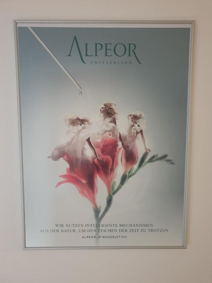 Bilder Gesundheitspraxis Li, TCM