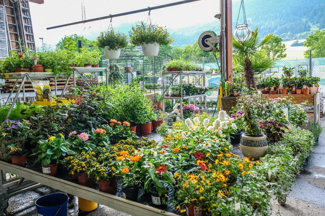 Bilder Centre Agro Courtelary