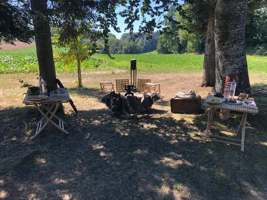 Bilder BeCorpo Sàrl
