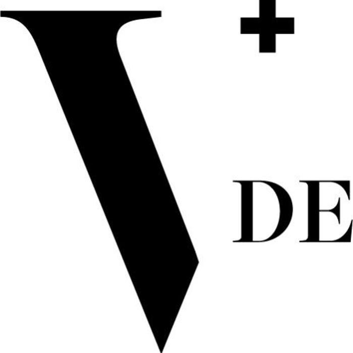 VDE Villa Digital Engineering AG Gebäudevermessung Chur Logo