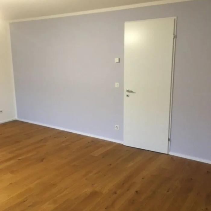 Bilder Saladin Maler GmbH