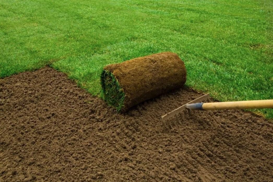 Bilder Arnold Zimmerli Gartenpflege