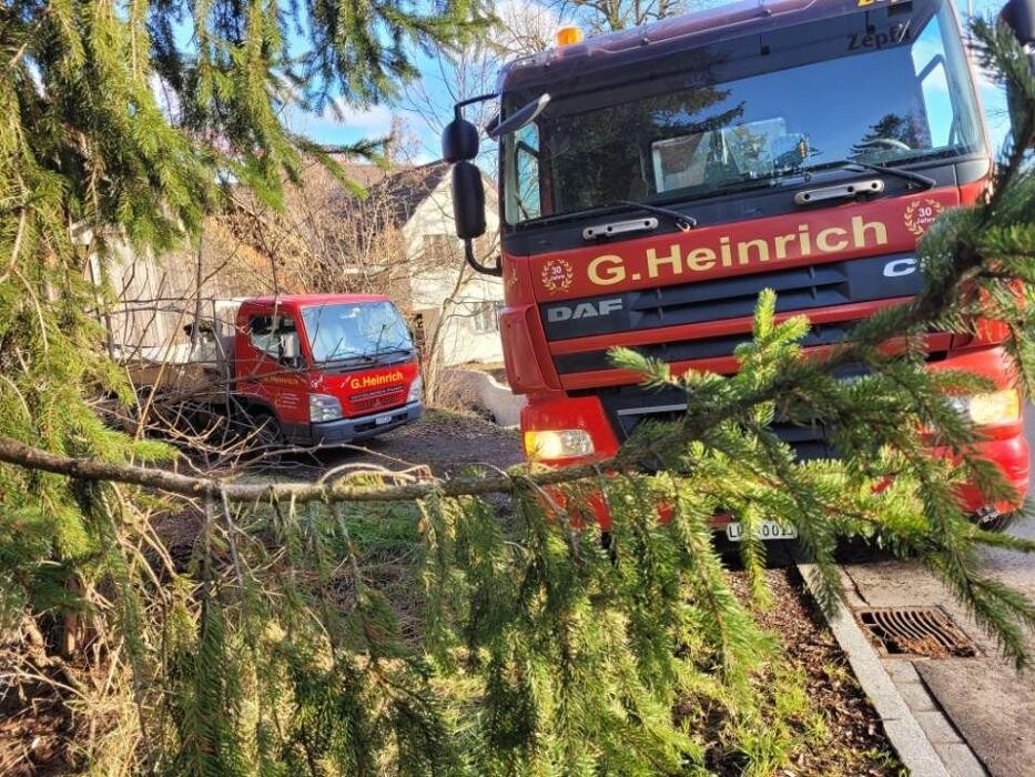 Bilder Heinrich Gerhard & Cyril Baggerbetrieb