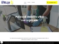 Website Screenshot Agenzia Stella Sagl